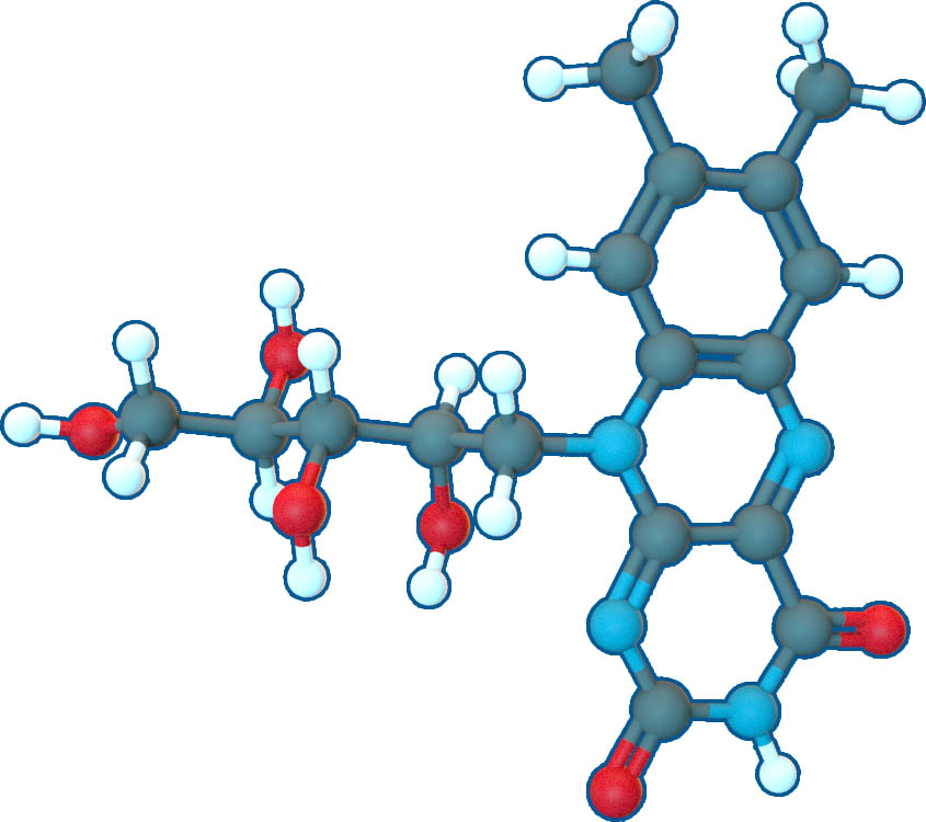 Image of Riboflavin Vitamin B2 | C17H20N4O6 | Supreme Pharmatech